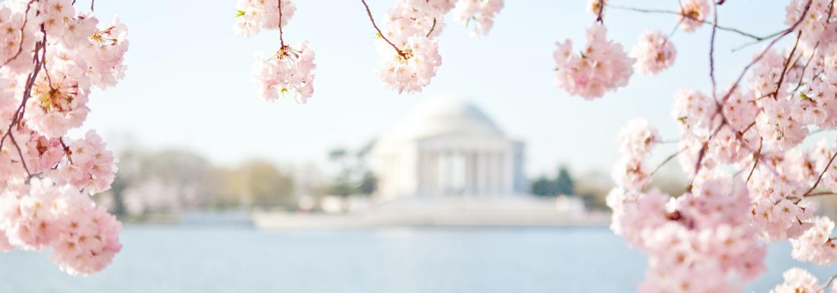 Willowside Middle School